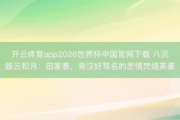 开云体育app2026世界杯中国官网下载 八沉路云和月:田家泰,背汉奸骂名的悲情焚烧英豪