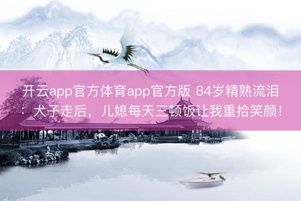 开云app官方体育app官方版 84岁精熟流泪：犬子走后，儿媳每天三顿饭让我重拾笑颜！
